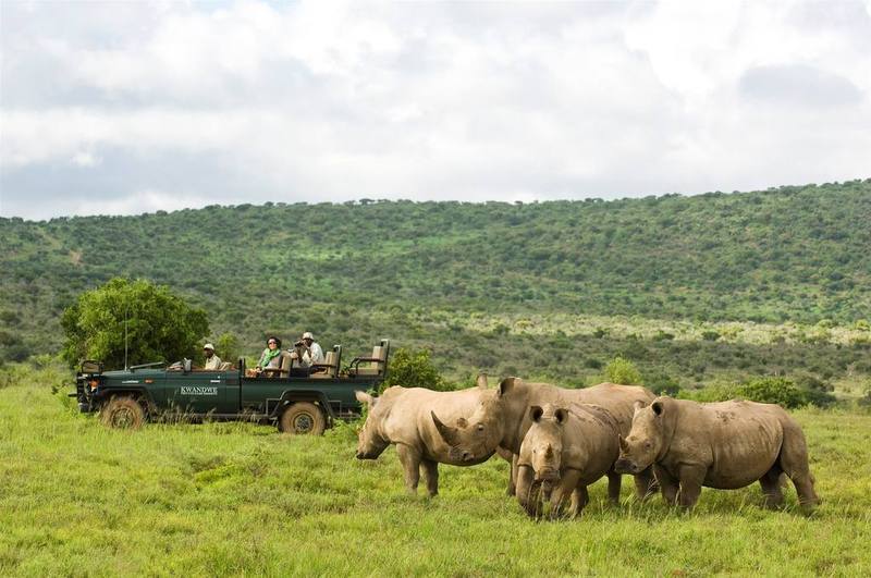 Kwandwe Great Fish River Lodge Grahamstown Zewnętrze zdjęcie